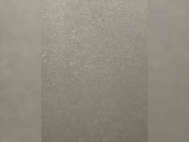 SunnyBlossom webcam
