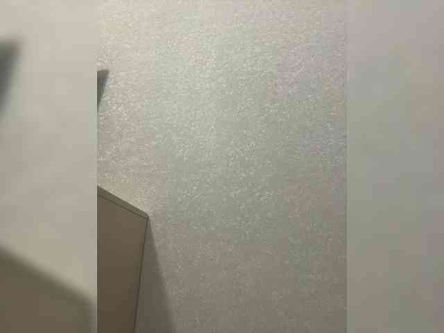 SunnyBlossom webcam