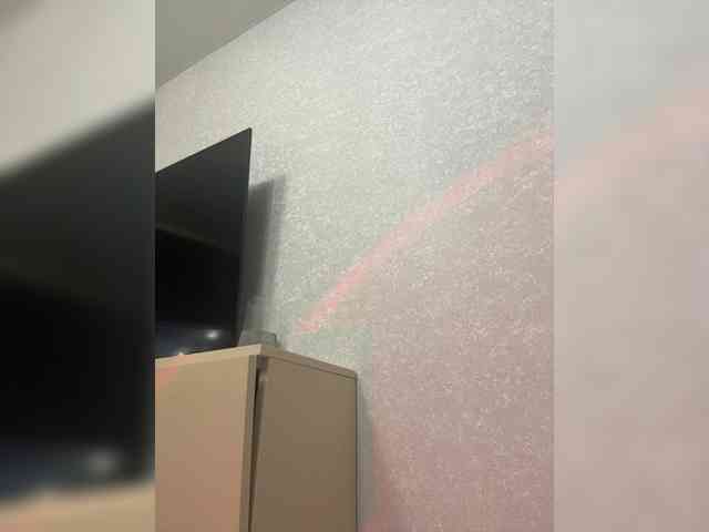 SunnyBlossom webcam