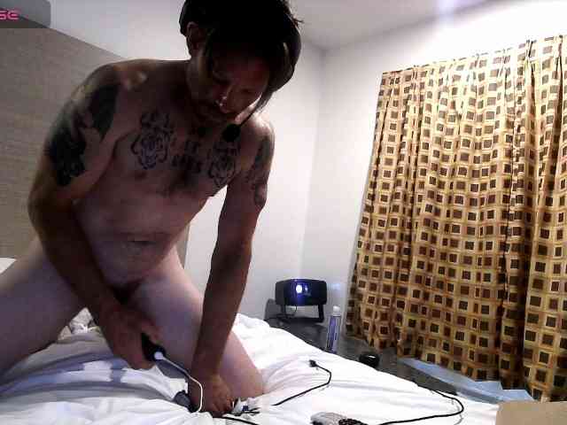 Str8CuriousStud4All Str8CuriousStud4All