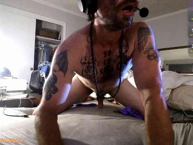 Str8CuriousStud4All Str8CuriousStud4All
