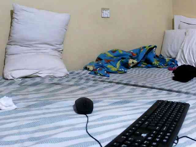 Lencer254 webcam