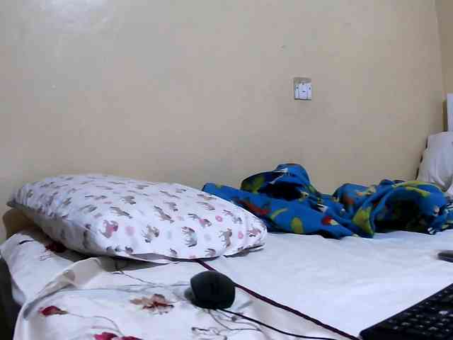 Lencer254 webcam
