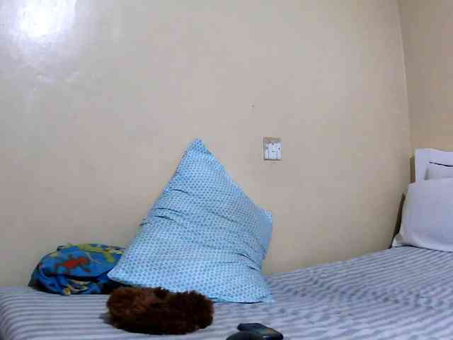 Lencer254 webcam