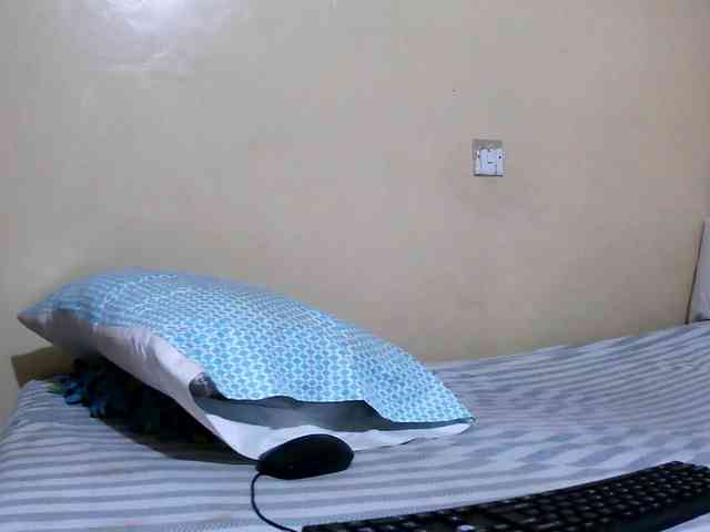 Lencer254 webcam