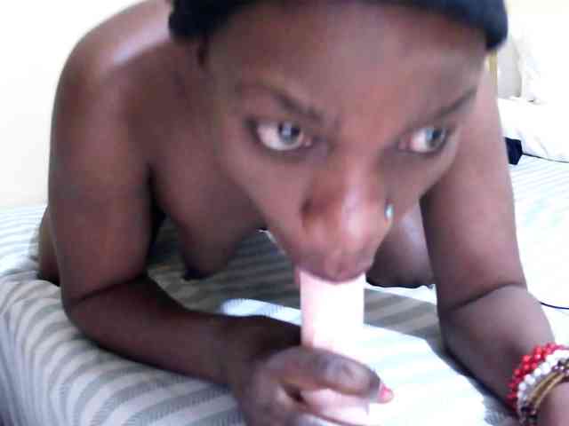 Lencer254 webcam