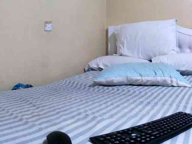 Lencer254 webcam
