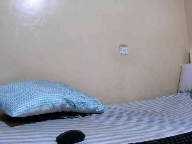 Lencer254 webcam