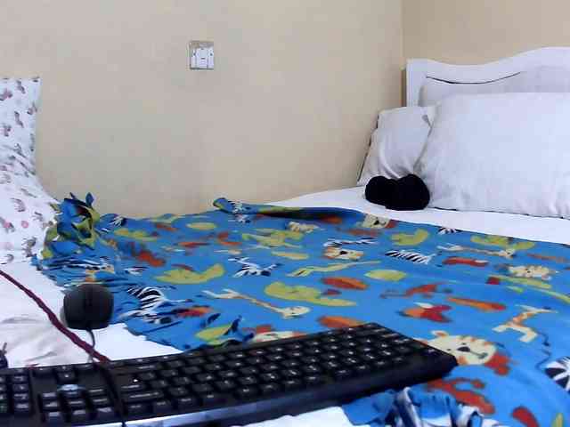 Lencer254 webcam