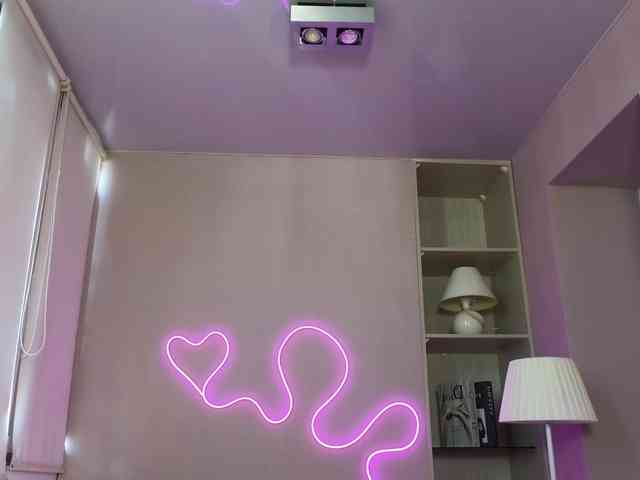dlllvi webcam