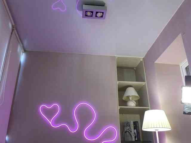 dlllvi webcam