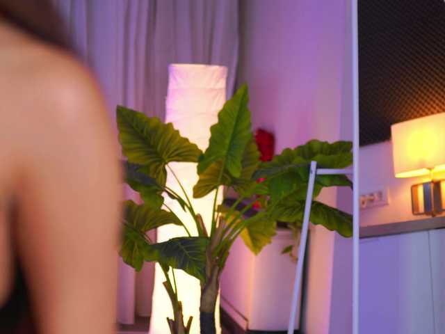 arabianrose online