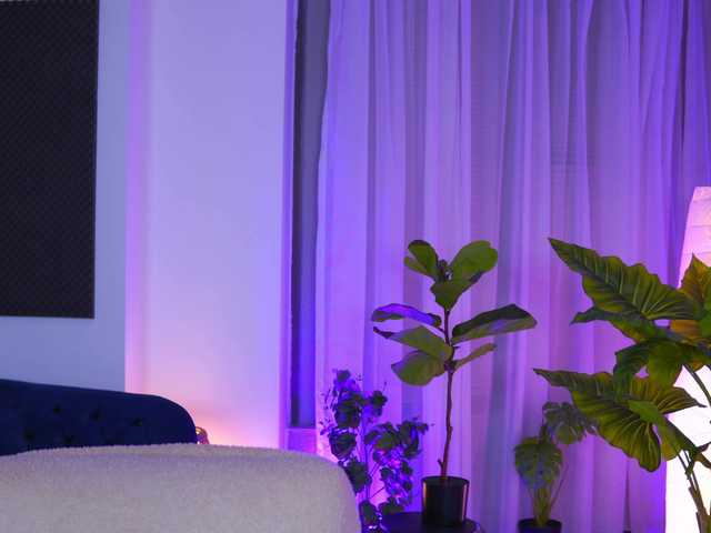 ArabianRose live cam