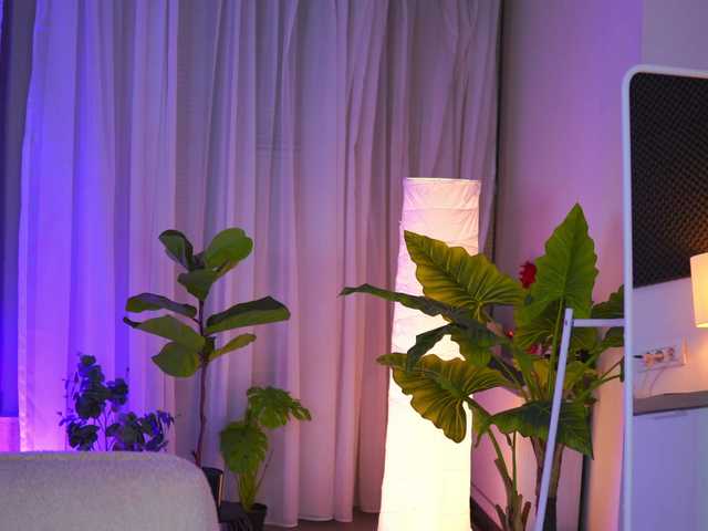 ArabianRose
