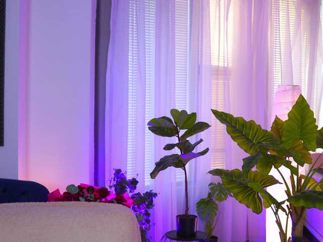 ArabianRose