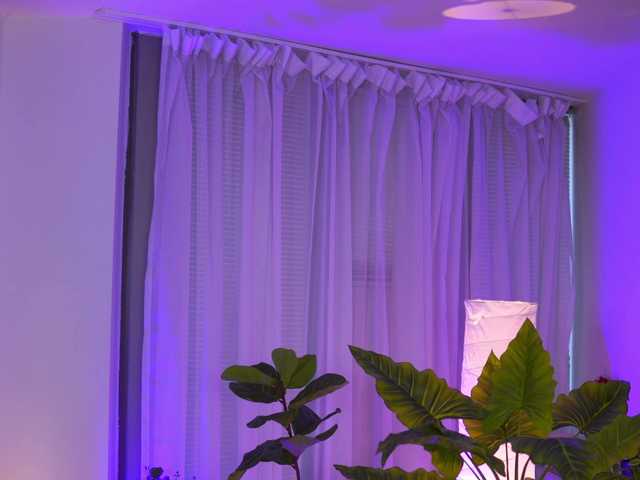 Live трансляция ArabianRose - slutnetki.online