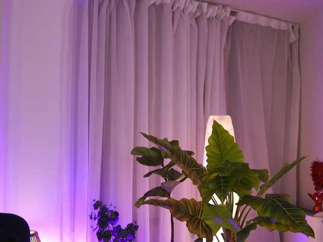 ArabianRose live cam on BongaCams