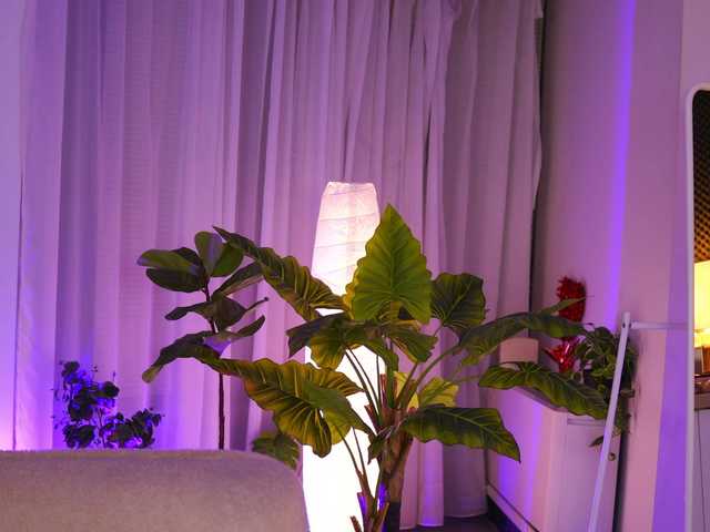 ArabianRose live cam on BongaCams