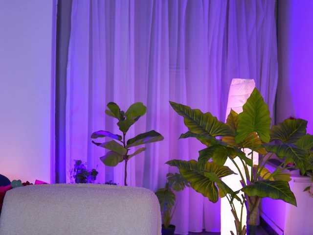 ArabianRose