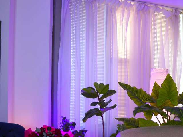 ArabianRose