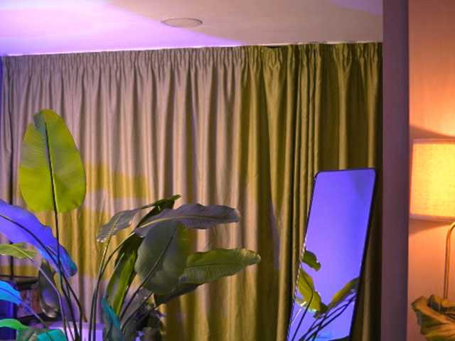 ArabianRose live cam on BongaCams