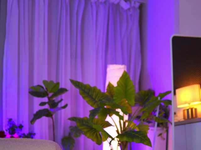 ArabianRose