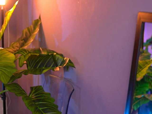 ArabianRose