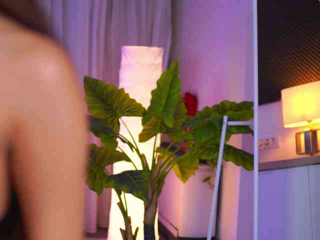 ArabianRose