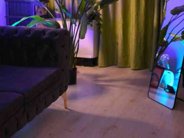 ArabianRose webcam
