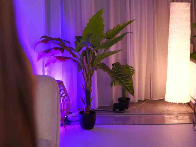 ArabianRose webcam