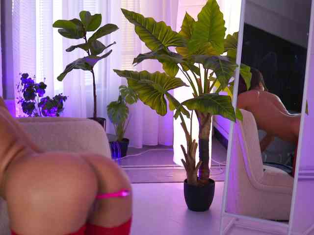 ArabianRose ArabianRose
