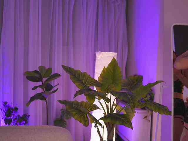 ArabianRose webcam