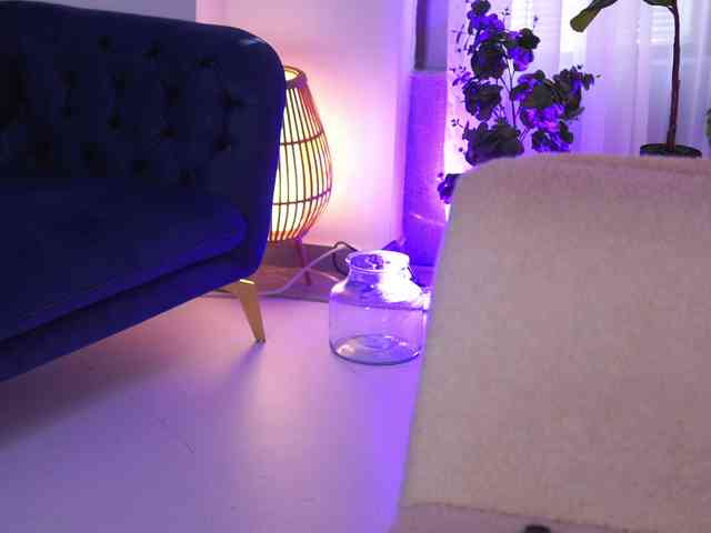 ArabianRose webcam