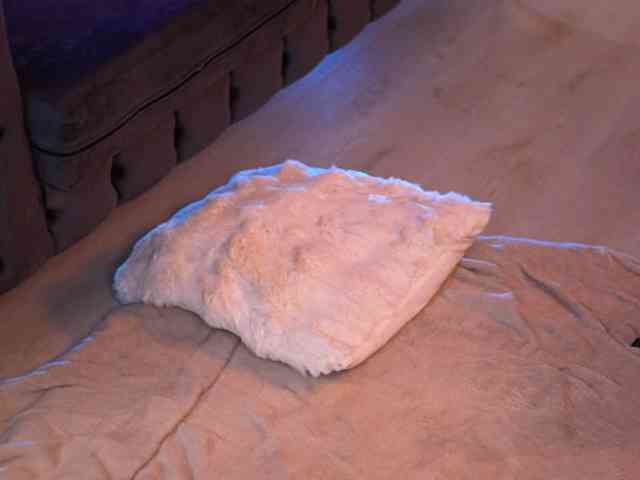 ArabianRose