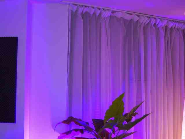 ArabianRose webcam