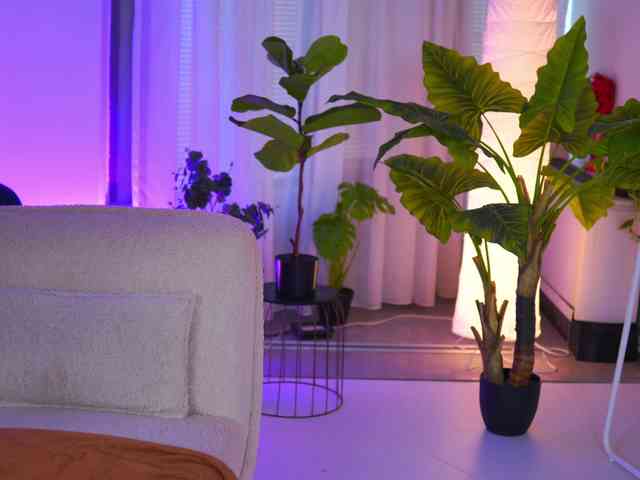 ArabianRose webcam
