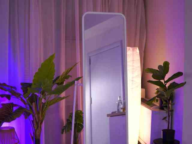 ArabianRose webcam