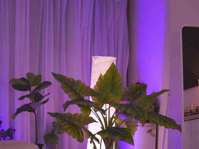 ArabianRose webcam