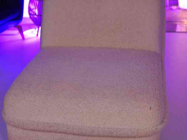 ArabianRose webcam