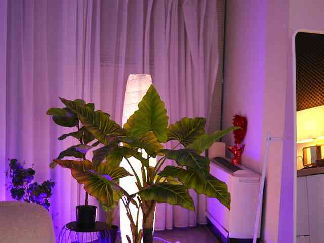 ArabianRose