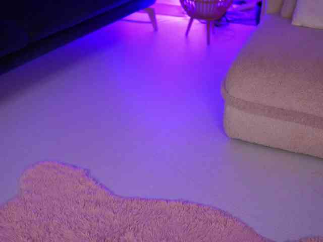 ArabianRose webcam