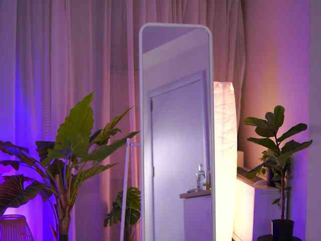 ArabianRose webcam