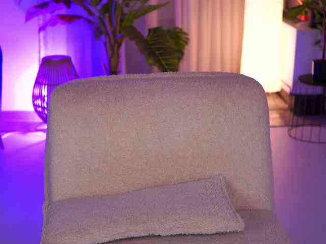 ArabianRose webcam