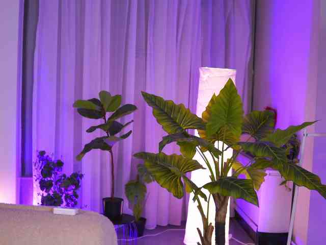 ArabianRose