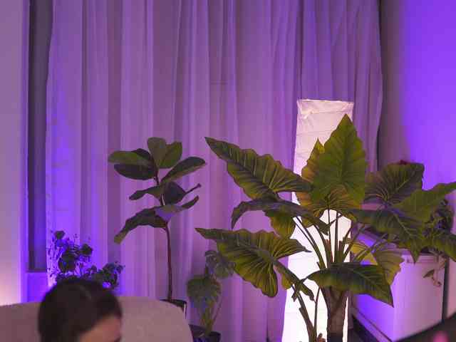 ArabianRose webcam