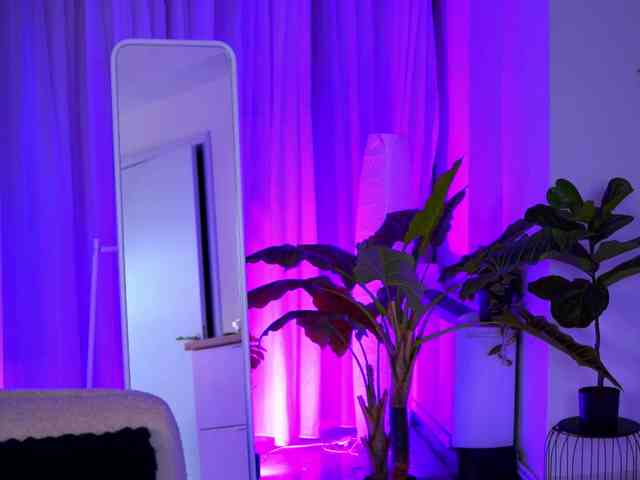 ArabianRose webcam