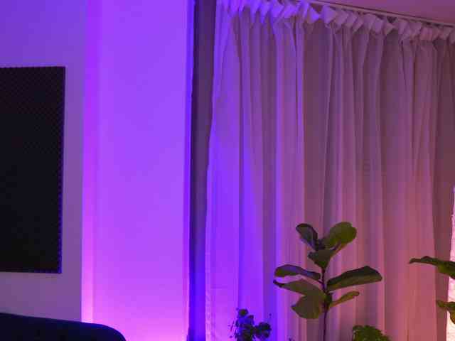ArabianRose