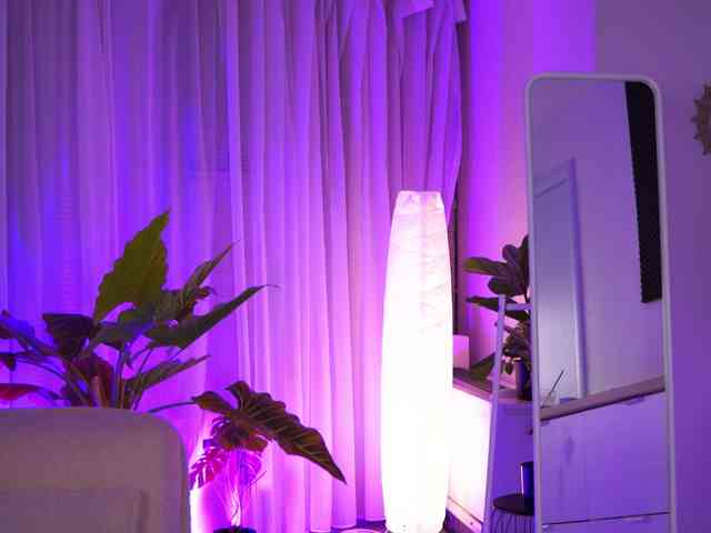 ArabianRose