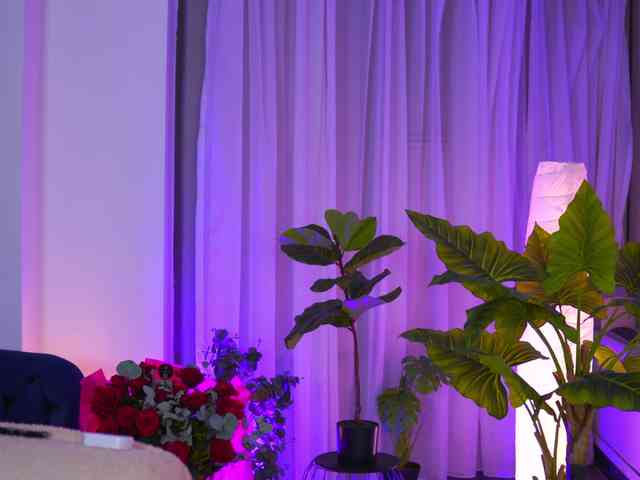 ArabianRose