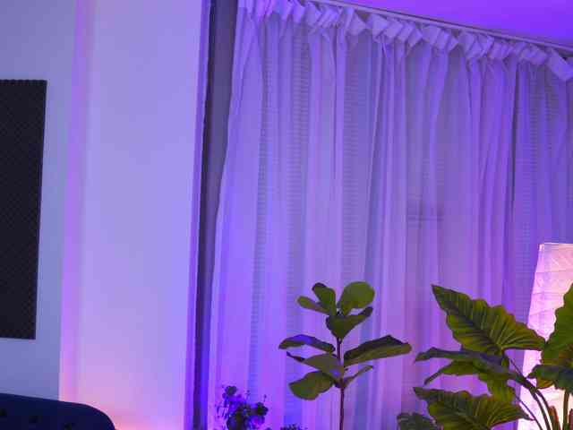 ArabianRose